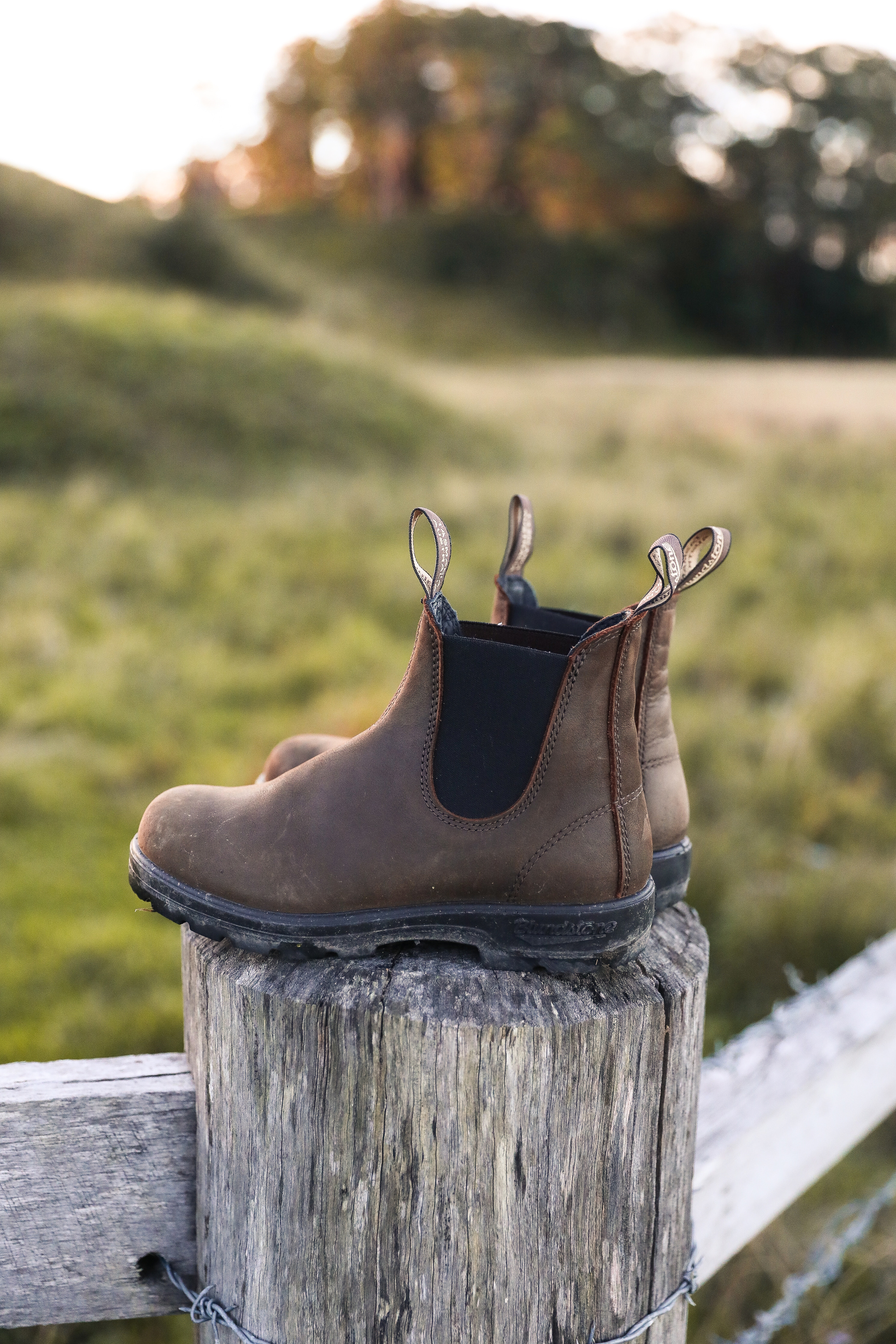 Blundstone - 1609