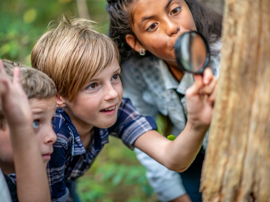 viking kids baum Kinder untersuchen einen BAum