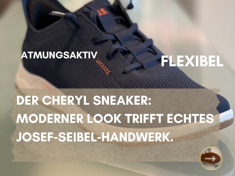 schuh ansicht seibel