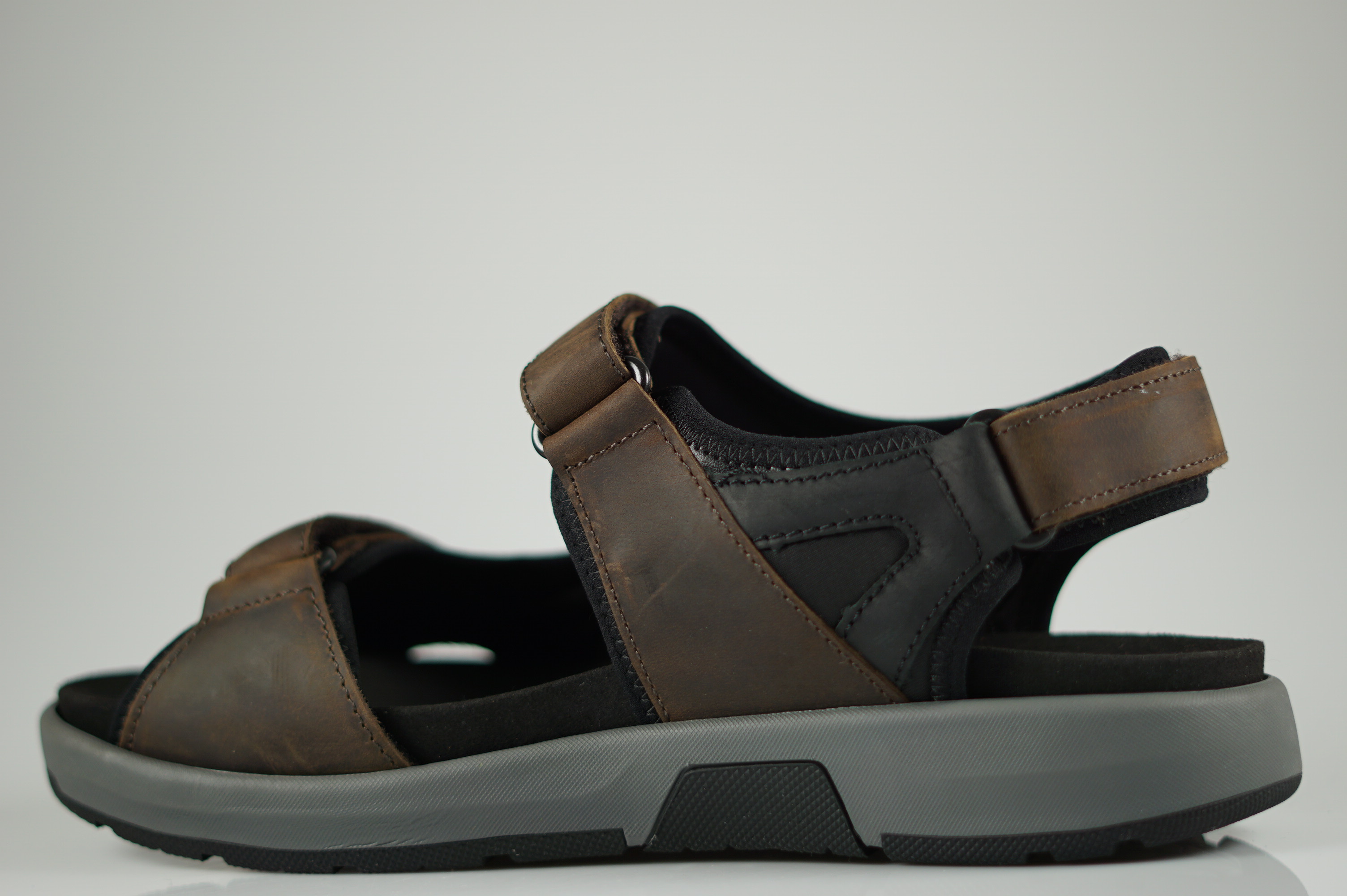 Seibel - 17306 TE66361