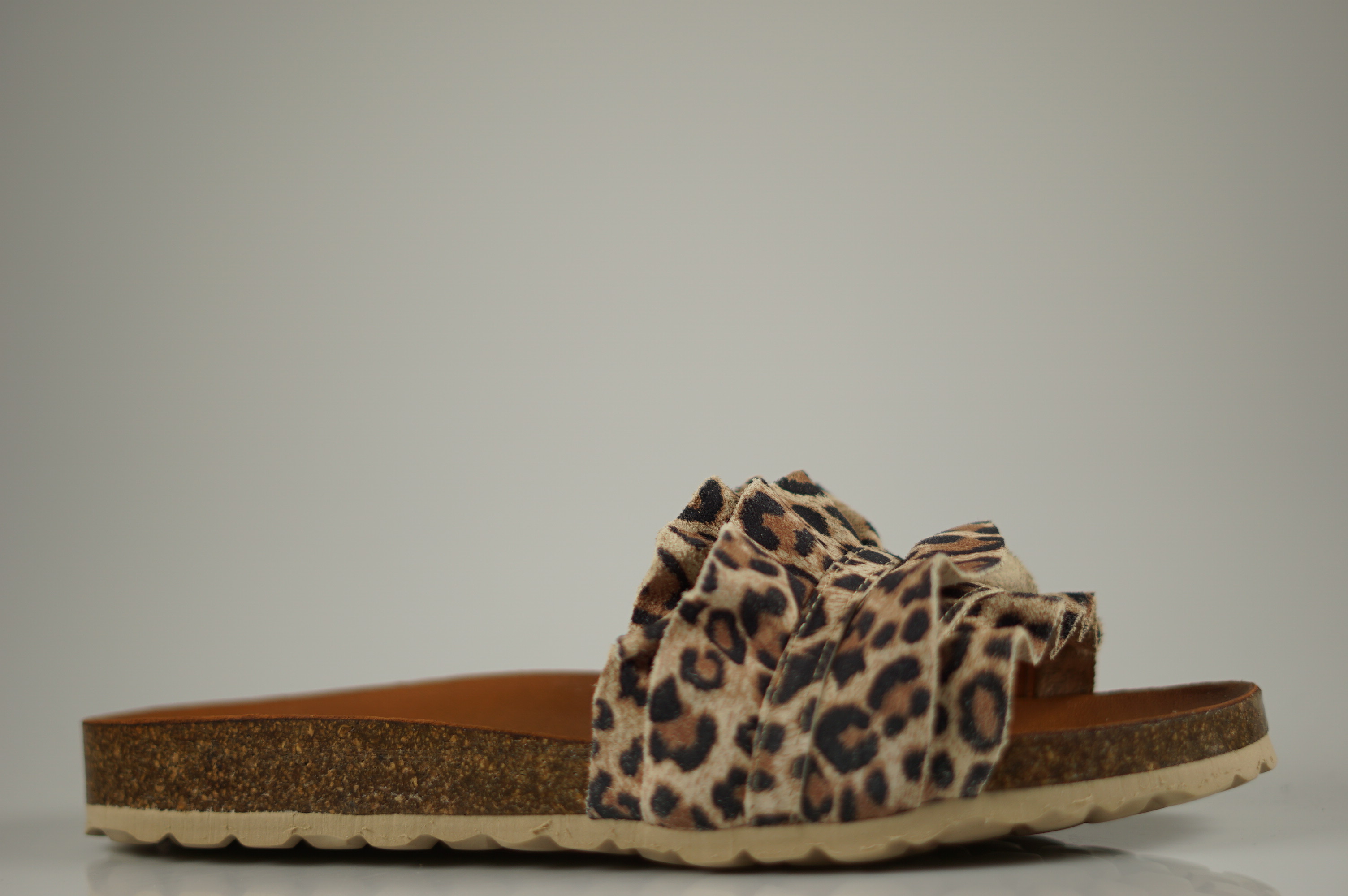 Verbenas - 3300620272 008